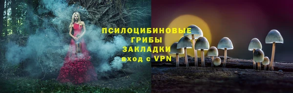 бошки Арсеньев